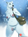  2019 anthro balls big_breasts blue_eyes breasts digital_media_(artwork) ear_piercing ear_ring evelyn_(sff) flaccid foreskin fur genitals gynomorph herm hi_res humanoid_genitalia humanoid_penis intersex mailbag mammal nipples nude outside penis piercing polar_bear smile snow solo super_fuck_friends text url ursid ursine white_body white_fur wolfpsalm 