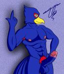  anthro avian bird dg254 erection falco_lombardi genitals hi_res humanoid_genitalia humanoid_penis male nintendo penis solo star_fox video_games 