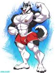  2020 abs anthro armpit_hair barazoku biceps body_hair bulge butt canid canine canis chest_hair clothing domestic_dog flexing kihu male mammal muscular muscular_male navel nipples open_mouth pecs pose pubes red_clothing red_underwear smile solo standing tongue tongue_out underwear 
