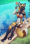  2020 4_toes 5_fingers african_wild_dog anthro bikini breasts canid canine clothing day detailed_background female fingers green_eyes imanika mammal midriff navel outside smile solo swimwear toes 