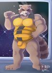  2020 absurd_res anthro belly bulge clothing fur genital_outline grey_body grey_fur guardians_of_the_galaxy hi_res male mammal marvel musclegut navel overweight overweight_male penis_outline procyonid raccoon rocket_raccoon solo underwear voyagersscrapbook 