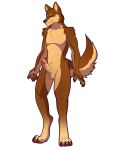  absurd_res anthro canid canine canis erection genitals grin hi_res humanoid_genitalia humanoid_penis male mammal nude penis rafael_belmont simple_background smile solo varollis wolf 