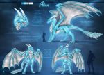  2020 4_toes 5_fingers ambiguous_gender anthro blue_eyes claws digital_media_(artwork) dragon english_text feral fingers hi_res horn male membrane_(anatomy) membranous_wings model_sheet open_mouth scales scalie selianth solo teeth text toes tongue western_dragon wings 