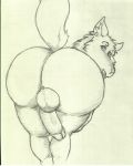  absurd_res anthro balls big_butt butt butt_focus canid canine canis genitals gypsy_king_(artist) hi_res humanoid_genitalia humanoid_penis looking_back male mammal penis wolf 