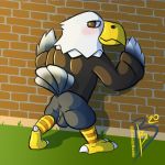  2020 accipitrid accipitriform against_wall animal_crossing anthro apollo_(animal_crossing) avian backsack balls beak bibbidy bird blue_body blue_feathers blush bottomless brick_wall brown_eyes butt clothed clothing eagle feathers genitals grass hands_on_wall hi_res jacket looking_back male multicolored_tail nintendo perineum shadow signature solo talons topwear video_games white_body white_feathers 