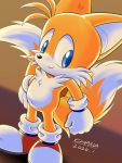 2020 anthro blue_eyes canid canine chana clothing footwear fur gloves handwear hi_res male mammal miles_prower signature smile solo sonic_the_hedgehog_(series) video_games 