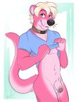  anthro collar fur genitals humanoid_genitalia humanoid_penis kwik_(artist) looking_at_viewer lutrine male mammal mustelid ottah penis pink_body pink_fur pink_penis pinup pose pulling_up_shirt river_otter solo uncut 