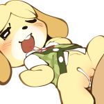  animal_crossing anthro anthro_penetrated blush bodily_fluids bottomless canid canine canis clothed clothing cum cum_in_pussy cum_inside cum_splatter domestic_dog duo female female_focus female_penetrated genital_fluids genitals hi_res isabelle_(animal_crossing) male male/female male_penetrating male_penetrating_female mammal nintendo penetration penis pussy sex solo_focus tears vaginal vaginal_penetration video_games youjomodoki 