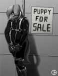 anthro bound bucky_(soronir) canid canine canis clothing collar dbruin domestic_dog for_sale handcuffs harness male mammal monochrome petplay puppyplay roleplay rubber rubber_suit shackles skinsuit slave solo standing submissive submissive_male tight_clothing 