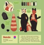  ailurid anthro big_ears breasts butt female frikinky genitals hi_res mammal model_sheet nanda nipples pussy red_panda solo 