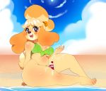  2020 4_toes 5_fingers animal_crossing anthro beach breasts canid canine canis clothed clothing domestic_dog female fingers hi_res higgyy isabelle_(animal_crossing) looking_at_viewer mammal nintendo open_mouth outside seaside shih_tzu short_stack solo sunscreen swimwear toes toy_dog video_games 