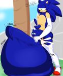  anal anthro armwear big_penis blue_body blue_fur bodily_fluids chao_(sonic) clothing cum cum_in_ass cum_inflation cum_inside denizen1414 duo elbow_gloves fur genital_fluids genitals gloves handwear hi_res huge_penis hyper hyper_genitalia hyper_penis impossibly_large_belly inflation legwear male male/male penetration penis ridiculous_fit size_difference sonic_the_hedgehog sonic_the_hedgehog_(series) sound_effects text thigh_highs 