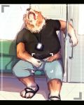  2013 anthro blush bottomwear bulge canid canine canis clothing detailed_background domestic_dog footwear hi_res humanoid_hands kemono lv_l male mammal overweight overweight_male pants sandals shirt sitting solo tongue tongue_out topwear 