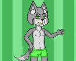  5_fingers anthro biped body_hair bottomwear bulge canid canine canis cheek_tuft chest_tuft clothed clothing facial_tuft fingers fur green_background green_bottomwear green_clothing green_eyes green_shorts grey_body grey_fur grey_hair hair happy_trail inner_ear_fluff looking_at_viewer male mammal navel nipples open_mouth pumopumoshi shorts simple_background solo standing topless tuft wolf 