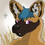  african_wild_dog anthro baba blue_hair brown_body brown_fur canid canine fluffy fluffy_ears fur hair headshot_portrait hi_res male mammal mr_sharky portrait purple_eyes simple_background smile solo teeth white_background 