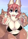  5_fingers anthro beach big_breasts bikini breasts brown_body brown_fur canid canine chest_tuft claws cleavage clothed clothing countershading curvy_figure cute_fangs day detailed_background female fingers fur hair inner_ear_fluff kemono looking_at_viewer mammal navel open_mouth open_smile outside pawpads paws pink_pawpads purple_eyes reaching_towards_viewer red_hair sakamata_orca seaside skimpy sky slightly_chubby smile solo standing swimwear thick_thighs tongue tuft voluptuous walking water white_body white_countershading white_fur wide_hips 