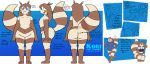  2017 3_toes 4_fingers :3 absurd_res alpha_channel anthro bent_over big_butt biped blep blue_clothing blue_eyes blue_sweater blue_topwear bottomless brown_body brown_fur brown_hair butt clothed clothing crop_top digital_media_(artwork) english_text eyes_closed female fingers flat_chested flat_colors fluffy fluffy_tail front_view fur furret hair hand_on_head happy hi_res kori_(potoobrigham) latin_text looking_at_viewer looking_forward model_sheet multiple_angles multiple_poses navel nintendo nude open_mouth open_smile plantigrade pok&eacute;mon pok&eacute;mon_(species) pose potoobrigham presenting presenting_hindquarters rear_view running shirt side_view simple_background sitting smile snout solo standing striped_body striped_fur striped_tail stripes sweater tan_body tan_fur text thick_thighs three-quarter_view toes tongue tongue_out topwear uwu video_games wide_hips 
