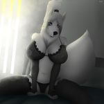  absurd_res airsa an_ancient anthro bed bedroom bra canid canine canis clothing domestic_dog female furniture genitals hair hi_res husky inside lingerie looking_at_viewer mammal mature_(disambiguation) mature_female nordic_sled_dog ponytail pussy solo spitz underwear yellow_eyes 