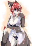  anthro big_breasts bikini black_body black_fur black_nose blue_eyes bra breasts canid canine chest_tuft cleavage clothed clothing countershading dipstick_tail female fingers fur hair inner_ear_fluff kemono looking_at_viewer mammal multicolored_body multicolored_fur multicolored_tail panties red_hair sakamata_orca simple_background sitting slit_pupils smile solo standing swimwear tuft two_tone_body two_tone_fur underwear white_body white_countershading white_fur 