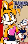  breasts clothed clothing crossdressing female girly male male/female miles_prower nativefall rouge_the_bat sonic_the_hedgehog_(series) tails_(disambiguation) 