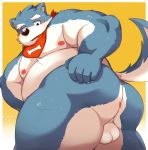 2020 absurd_res anthro anus balls belly bhtoss blue_body blue_fur blush butt canid canine canis domestic_dog fur genitals hi_res humanoid_hands kemono male mammal moobs nipples overweight overweight_male simple_background solo white_body white_fur 