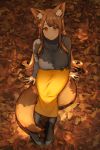  animal_humanoid autumn big_breasts big_tail bird&#039;s-eye_view bottomwear breasts brown_eyes brown_hair canid canid_humanoid canine canine_humanoid clothed clothing day detailed_background female footwear fox_humanoid fully_clothed hair hi_res high-angle_view humanoid inner_ear_fluff leaf legwear light light_skin long_hair looking_at_viewer mammal mammal_humanoid mog_(artist) outside shirt shoes sitting sitting_on_tail skirt smile solo topwear tuft 