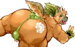  2020 absurd_res anthro balls big_butt brown_body brown_fur bulge butt canid canine canis cute_fangs domestic_dog fur genitals hi_res humanoid_hands kemono male mammal overweight overweight_male pikaqoo_(artist) scar simple_background solo tokyo_afterschool_summoners tongue tongue_out video_games white_background yasuyori 