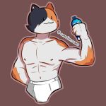 anthro bottle calico_cat clothing domestic_cat epic_games felid feline felis fortnite holding_bottle holding_object male mammal meowscles_(fortnite) mostly_nude mottled mrxphilip muscular muscular_male piebald simple_background smile solo underwear video_games 