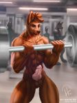  anthro barbell bicep_curl canid canine canis erection genitals gym hi_res huskyfog knot looking_at_viewer male mammal muscular muscular_male penis solo wolf 