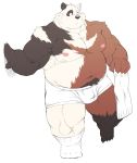  2020 anthro belly bulge clothing hi_res kemono male mammal moobs mti777 navel nipples overweight overweight_male simple_background solo underwear ursid white_background 