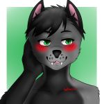  anthro blush caind canid canine canis chaoticbiscuit green_eyes icon male mammal solo stevo stevo_the_wolf stevofurry suchtrashley wolf 