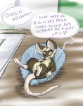  2020 alternate_species butt dialogue english_text fluffy hi_res looking_at_viewer male mammal mouse muffin_(themuffinly) murid murine rodent semi-anthro slightly_chubby solo text themuffinly 