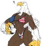  2020 ? accipitrid accipitriform anthro avian bald_eagle bikini bird bodily_fluids breasts brown_body brown_feathers camel_toe cleavage clothed clothing eagle feathers female flag_bikini muscular muscular_female navel nipple_outline non-mammal_breasts quququl sea_eagle simple_background solo standing stars_and_stripes sweat swimwear united_states_of_america white_background white_body white_feathers 