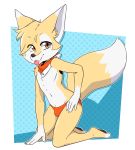  anthro bangs brown_eyes bulge canid canine clothing dipstick_tail fennec fox fur girly gloves_(marking) hair hi_res male mammal markings multicolored_tail neckerchief panties solo speedo swimwear toeless_(marking) tongue tonue_out underwear yellow_body yellow_fur ziggy_fox 