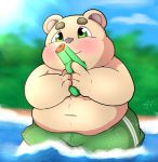  2020 absurd_res anthro belly blush brown_body brown_fur bulge clothing fur green_eyes hi_res humanoid_hands inigo_(kusosensei) kusosensei male mammal navel outside overweight overweight_male solo swimwear ursid water young 