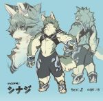  2020 anthro blue_background canid canine chest_tuft english_text fluffy fluffy_tail fur green_hair hair japanese_text kemono looking_at_viewer male mammal simple_background smile snout solo tatotake_mono text translated tuft 外竹 