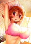  absurd_res big_breasts blush breasts cedar_(artist) clothing eyebrow_through_hair eyebrows feathered_wings feathers hair hi_res humanoid ishuzoku_reviewers looking_at_viewer meidri monster_girl_(genre) not_furry open_mouth orange_hair pink_bra solo tongue translucent translucent_hair underwear undressing winged_humanoid wings 
