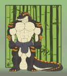  2020 abs absurd_res anthro big_bulge black_body bulge claws crocodile crocodilian crocodylid detailed_background gradient_background green_background hi_res long_tail looking_aside male markings muscular orange_claws reptile scalie signature simple_background standing styx_(wolfarion) thick_tail white_body wolfarion yellow_eyes 