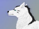  canid canine canis digital_media_(artwork) female feral mammal portrait practice solo wolf zhekathewolf 