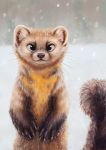  2020 black_nose brown_body brown_fur detailed fluffy fluffy_tail fur hi_res inner_ear_fluff kebi looking_at_viewer mammal marten mustelid musteline outside pine_marten snow snowing solo tuft whiskers 