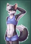  2019 absurd_res anthro arm_above_head balls canid canine canis clothed clothing digital_media_(artwork) eyewear fur genitals girly glasses hi_res humanoid_genitalia humanoid_penis looking_at_viewer male mammal pants_down partially_clothed penis shirt_up sidnithefox simple_background smile solo standing topwear uncut wolf 