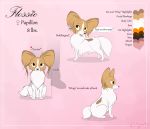  2020 black_nose canid canine canis dirtywater domestic_dog english_text feral flossie_(dirtywater) french_text fur hi_res mammal model_sheet monotone_tail open_mouth papillon speech_bubble text toy_dog translated white_body white_fur white_tail 
