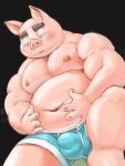  2018 anthro belly blush bulge clothing domestic_pig humanoid_hands kemono male mammal meg_hoi moobs navel nipples overweight overweight_male pink_body solo suid suina sus_(pig) underwear 