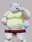  2018 anthro belly black_nose blue_body blue_fur bulge canid canine canis clothing domestic_dog fur humanoid_hands kemono male mammal meg_hoi shirt simple_background slightly_chubby solo topwear underwear 