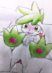  absurd_res black_nose blush bodily_fluids chest_tuft clitoris colored_pencil_(artwork) cum cum_in_pussy cum_inside ears_down eiroru female female_focus first_person_view fluffy_ears fur genital_fluids genitals green_eyes happy happy_sex hi_res legendary_pok&eacute;mon male male/female nintendo open_mouth pawpads penis pink_pawpads pivoted_ears pok&eacute;mon pok&eacute;mon_(species) pussy semi-anthro sex shaymin sky_forme_shaymin solo_focus tears tongue traditional_media_(artwork) tuft video_games white_body white_fur 