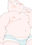  2018 anthro belly blush bulge clothing domestic_pig humanoid_hands kemono male mammal meg_hoi moobs navel nipples overweight overweight_male pink_body simple_background solo suid suina sus_(pig) underwear white_background 