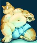  2014 anthro belly bulge canid canine canis clothing domestic_dog kemono male mammal meg_hoi moobs navel nipples overweight overweight_male simple_background solo underwear 