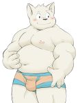  2018 anthro belly blush bulge canid canine canis clothing domestic_dog humanoid_hands kemono male mammal meg_hoi moobs navel nipples overweight overweight_male simple_background solo underwear white_background 