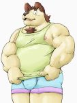  2017 anthro belly bulge canid canine canis clothing domestic_dog humanoid_hands kemono male mammal meg_hoi nipples overweight overweight_male shirt simple_background solo topwear underwear white_background 
