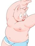  2018 anthro belly blush bulge clothing domestic_pig humanoid_hands kemono male mammal meg_hoi moobs navel nipples overweight overweight_male simple_background solo suid suina sus_(pig) underwear white_background 